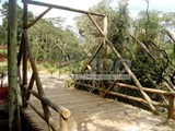 pontes-e-passarelas (27)